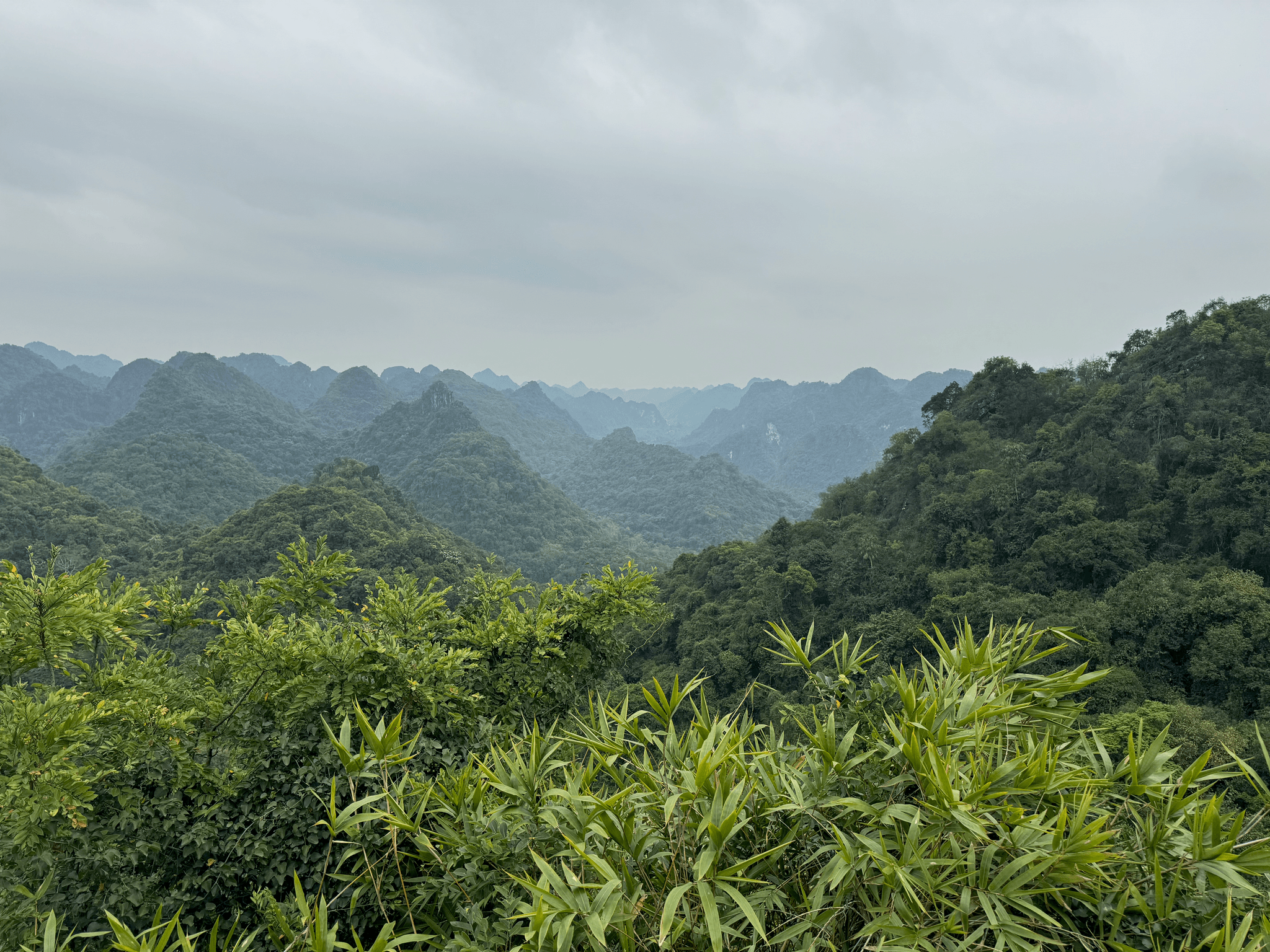 National park viewpoint