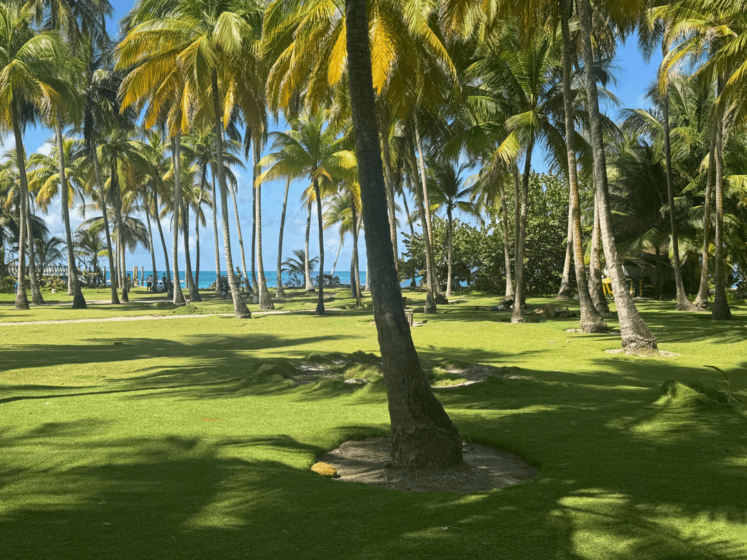 island grass