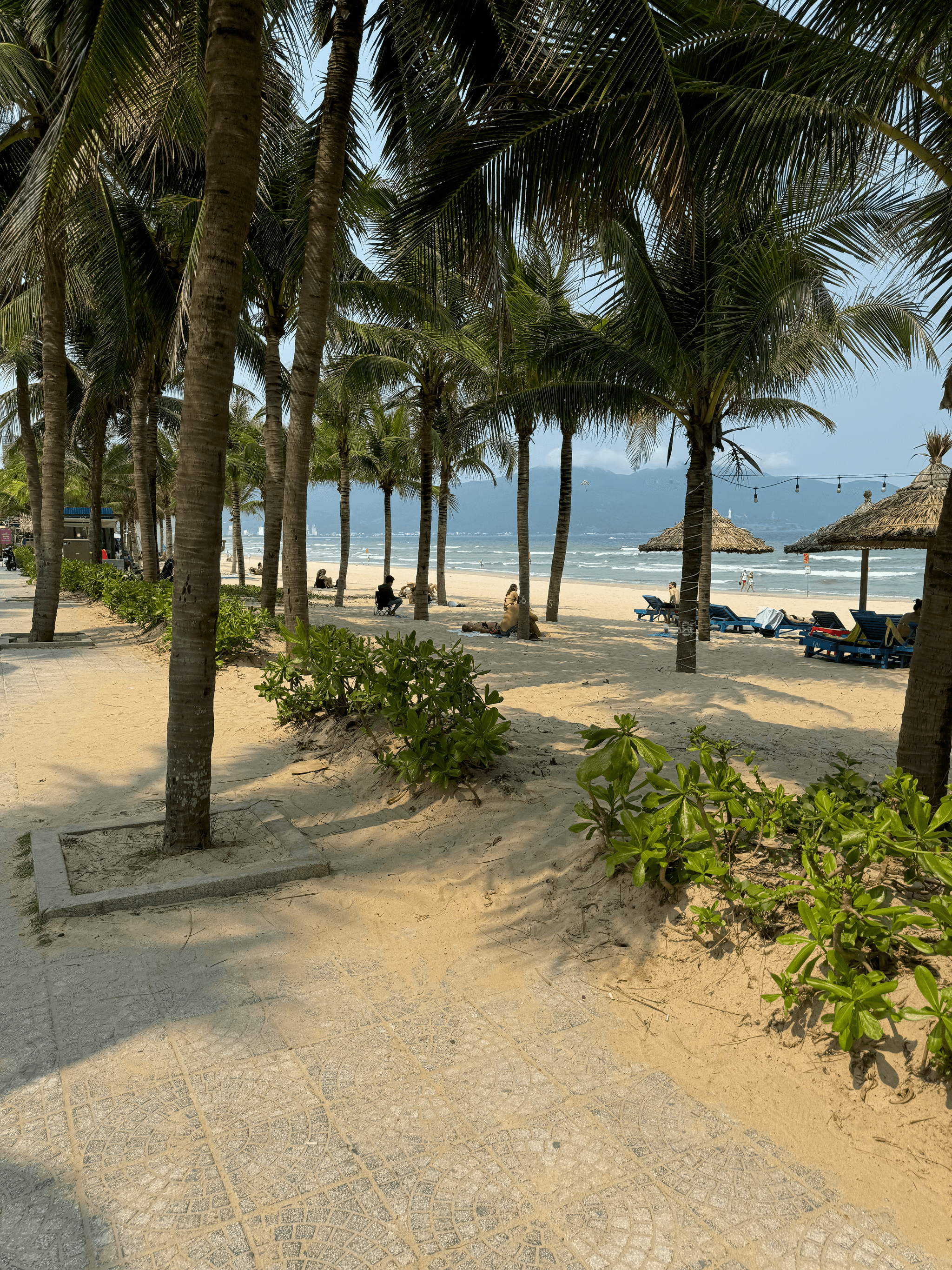 Beach in Danang