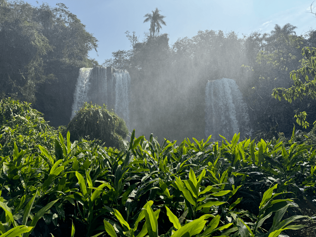 tropical falls