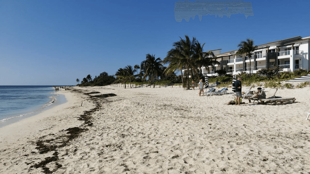 beach from house