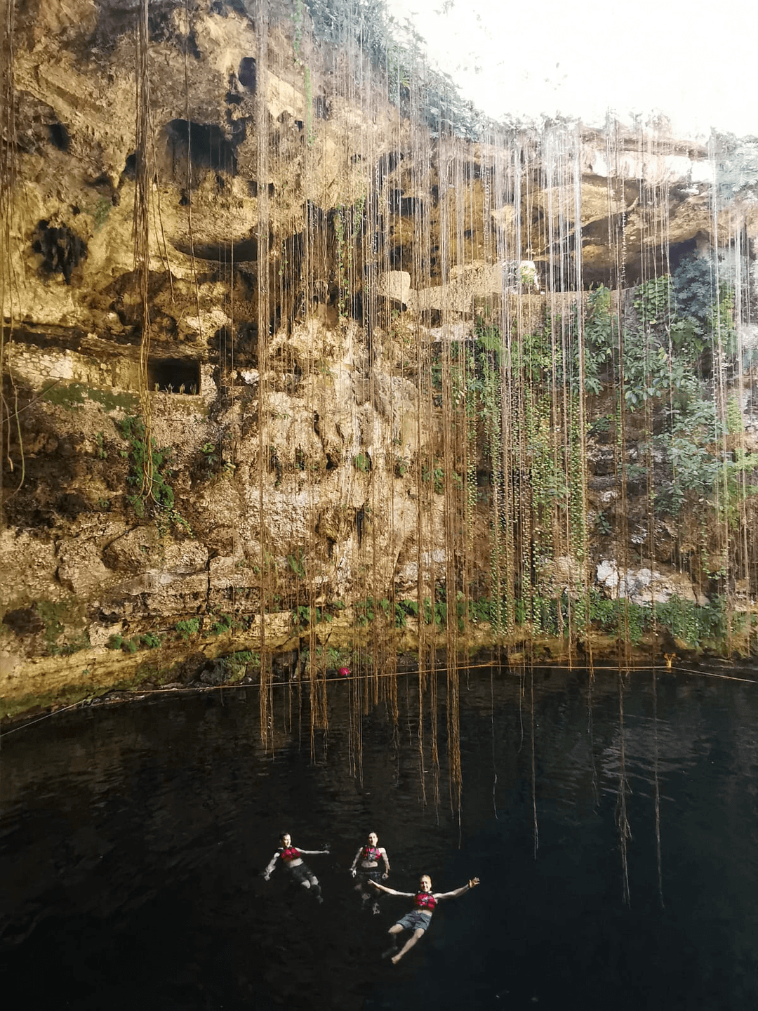 cenotes inside