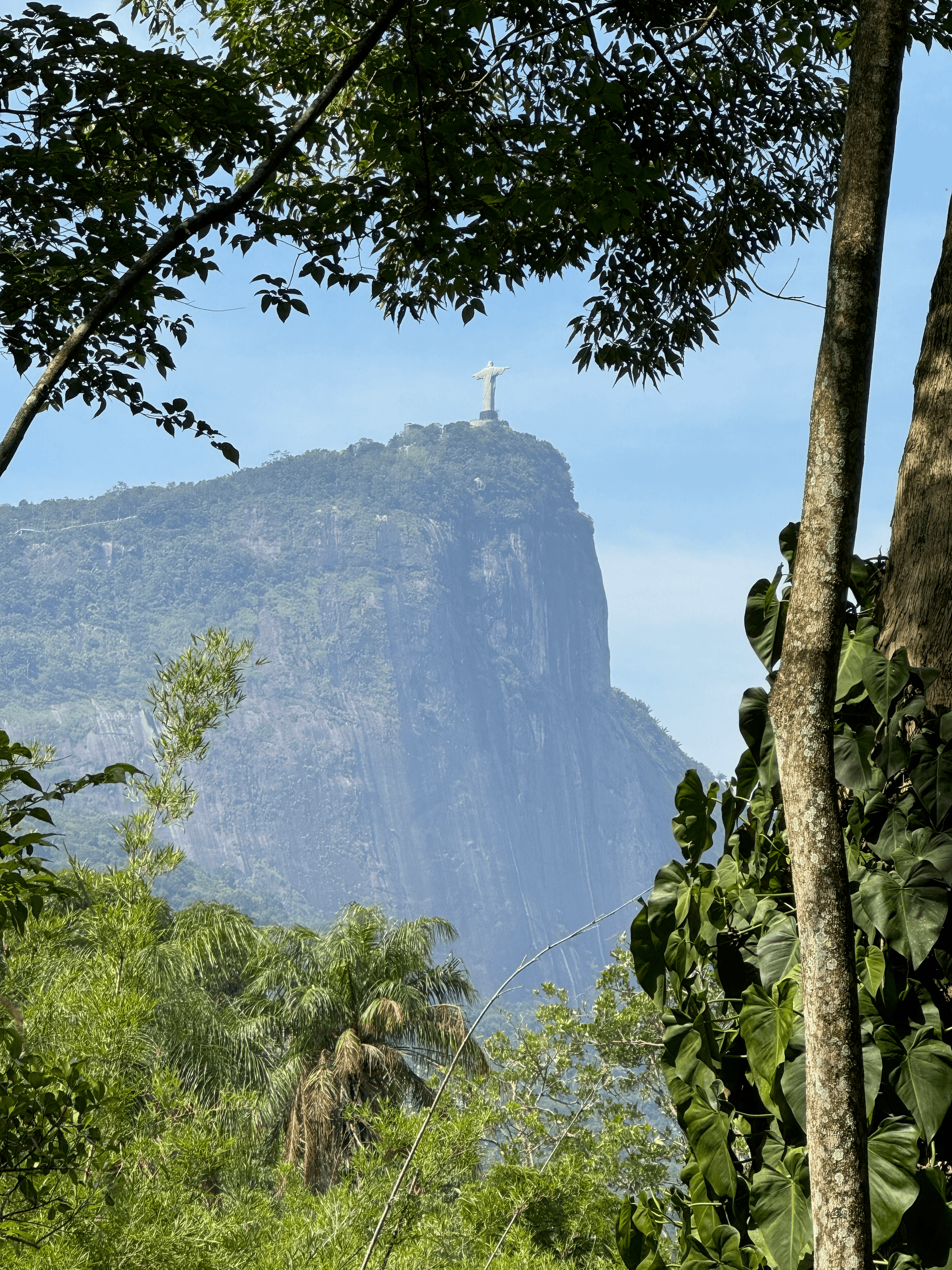 Christ the Redeemer