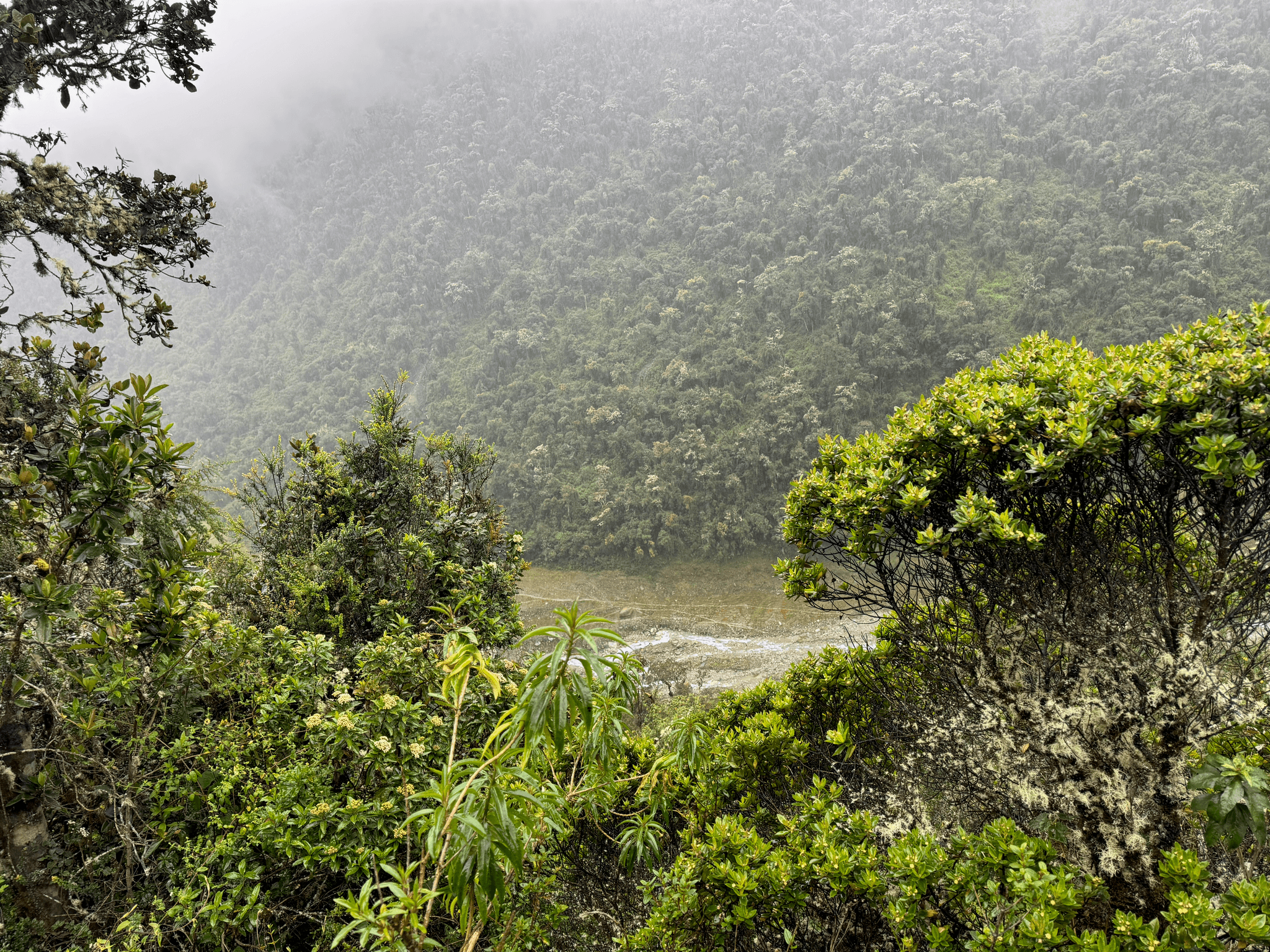 Tropical Weather