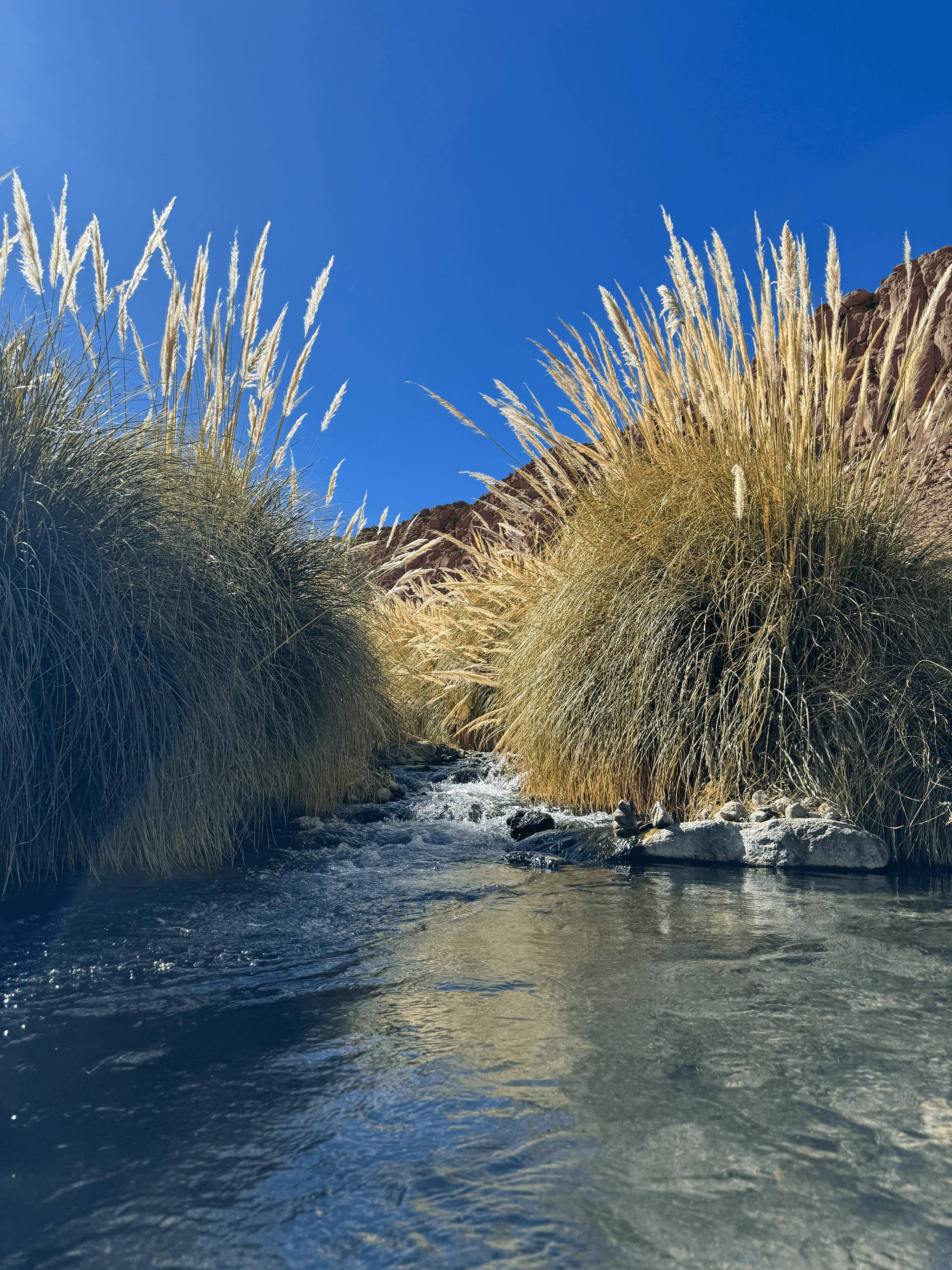 Another hot spring