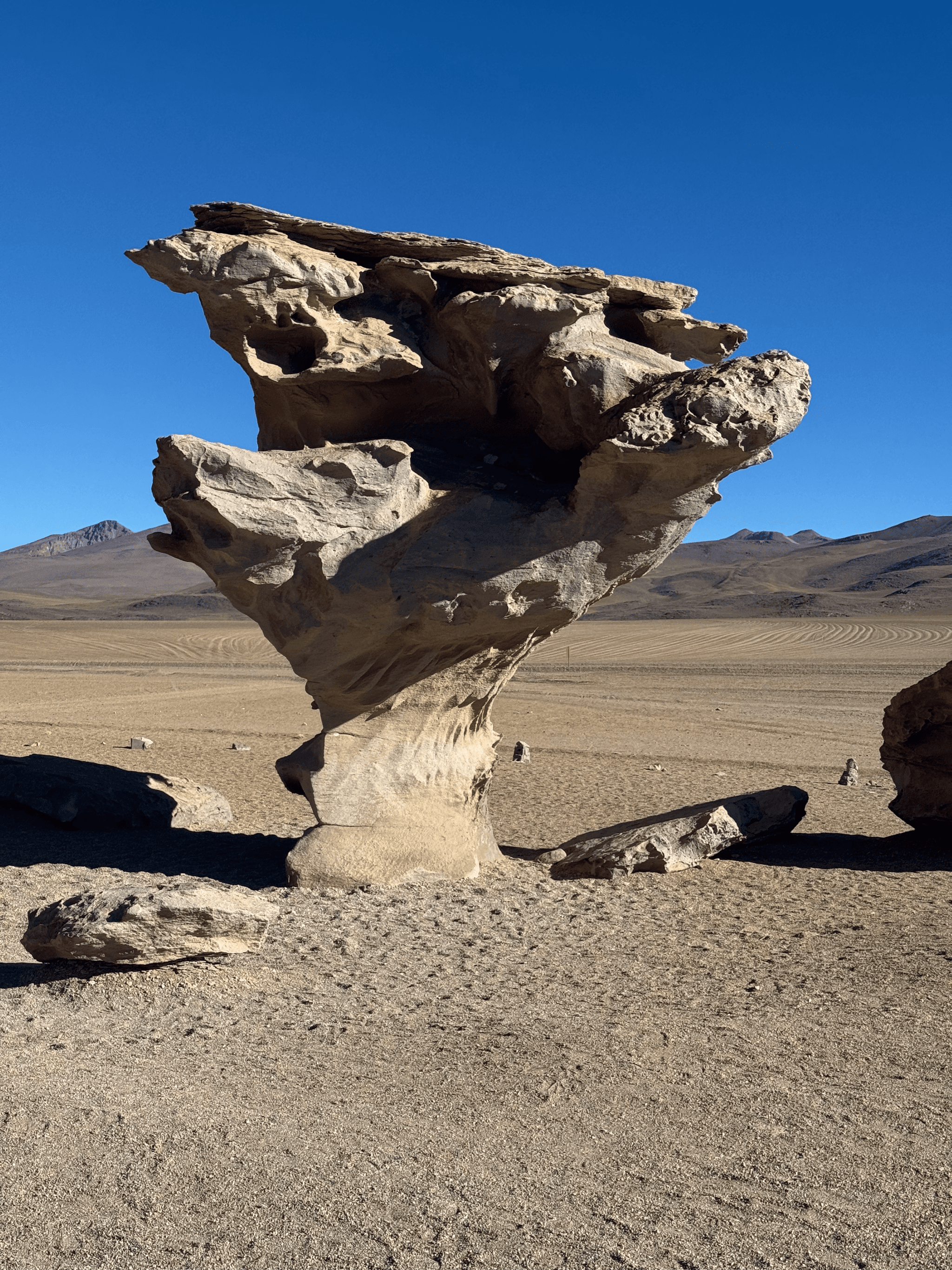 Arbol de piedra